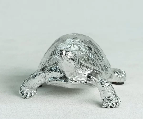 Turtle-Decoration-5.jpg